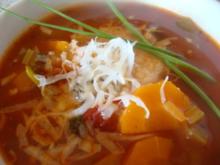 leichte Gemüsesuppe auf Tomatenbasis - Rezept