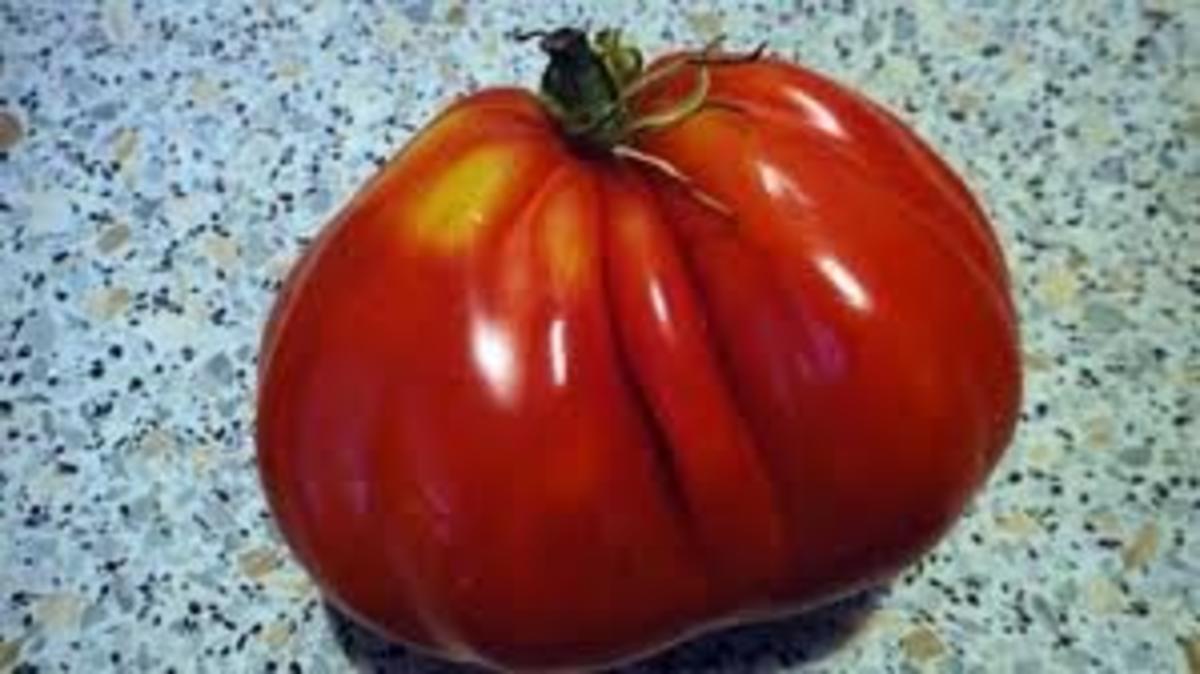 leichte Gemüsesuppe auf Tomatenbasis - Rezept - Bild Nr. 9