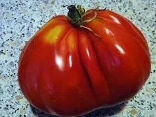 leichte Gemüsesuppe auf Tomatenbasis - Rezept - Bild Nr. 9