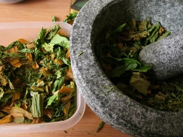 getrocknete Kräuter - Rezept - Bild Nr. 4