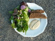 Wildkräutersalat mit Apfel-Pfeffer-Schmand und Krustenbrot - Rezept