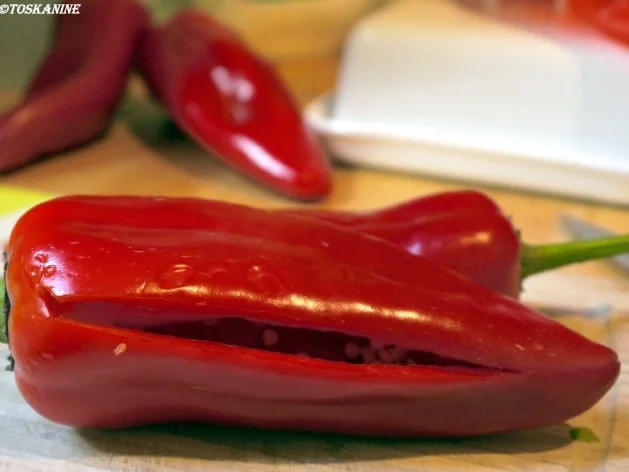 Gegrillte Spitzpaprika, marokkanisch gefüllt - Rezept - Bild Nr. 8
