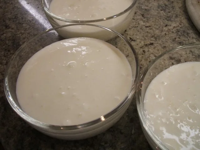 Dessert: Zitronen-Buttermilch-Dessert - Rezept - Bild Nr. 7