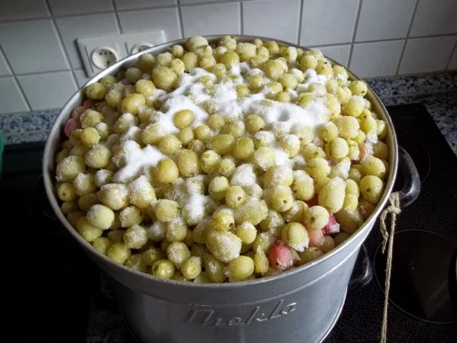 Stachelbeer-Gelee - Rezept - Bild Nr. 2