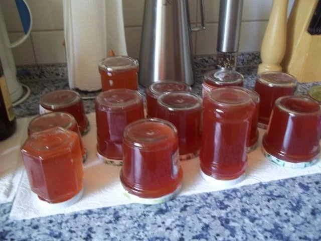 Stachelbeer-Gelee - Rezept - Bild Nr. 5