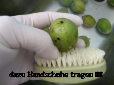 Rezept: Walnusslikör Bild Nr. 3 Walnusslikör - Rezept - Bild Nr. 3