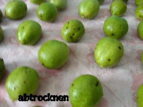 Rezept: Walnusslikör Bild Nr. 4 Walnusslikör - Rezept - Bild Nr. 4