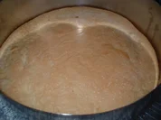 Blaubeertorte-auch Heidelbeeren genannt......... - Rezept