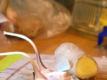 Rezept: Hähnchenbrust, Tomatensauce, Orangen-Gremolata Bild Nr. 3 Hähnchenbrust, Tomatensauce, Orangen-Gremolata - Rezept - Bild Nr. 3