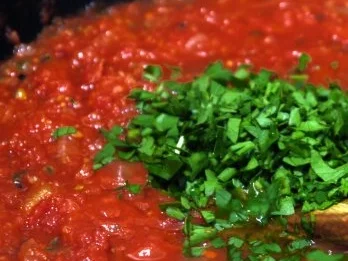 Rezept: Hähnchenbrust, Tomatensauce, Orangen-Gremolata Bild Nr. 10 Hähnchenbrust, Tomatensauce, Orangen-Gremolata - Rezept - Bild Nr. 10