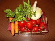 Rezept: Reine Tomatensosse Reine Tomatensosse - Rezept