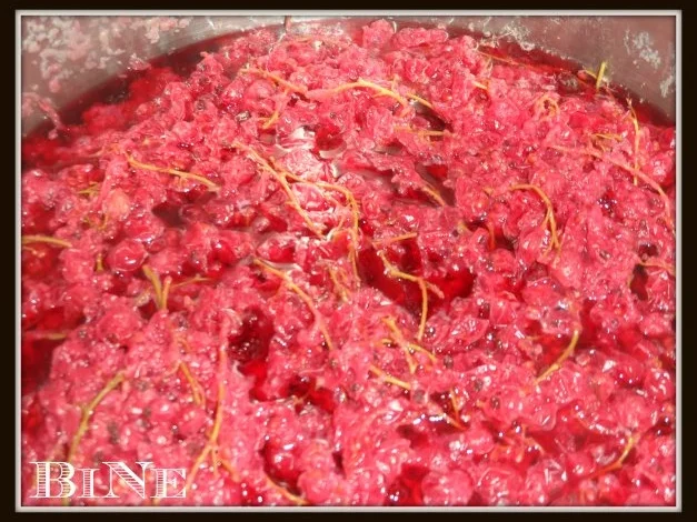 BiNe` S JOHANNISBEERSAFT - Rezept - Bild Nr. 3