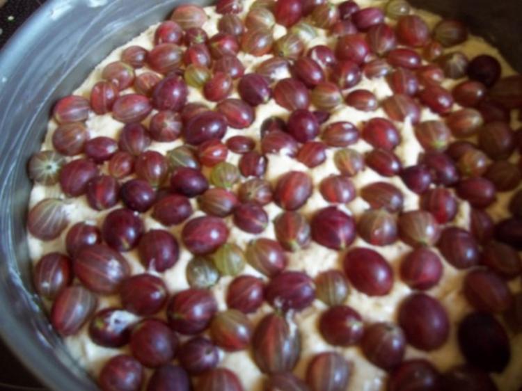 Stachelbeer Schmand Kuchen frisch gehext - einfach - von Hexenlady01