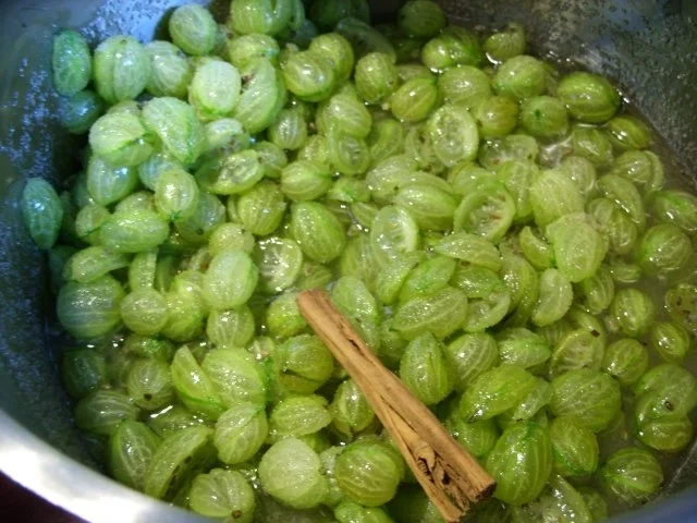 Vorrat: Stachelbeer Chutney - Rezept - Bild Nr. 2