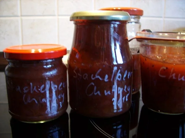 Vorrat: Stachelbeer Chutney - Rezept