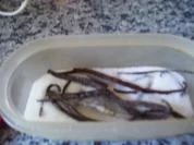 Vanille-Zucker selbstgemacht - Rezept