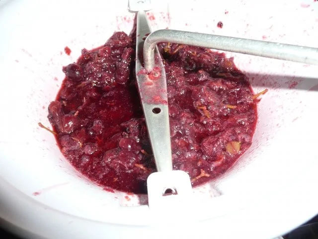 Jostabeeren -  Gelee - Rezept - Bild Nr. 3