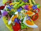Kräuterblüten-Salat - Rezept