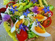 Kräuterblüten-Salat - Rezept