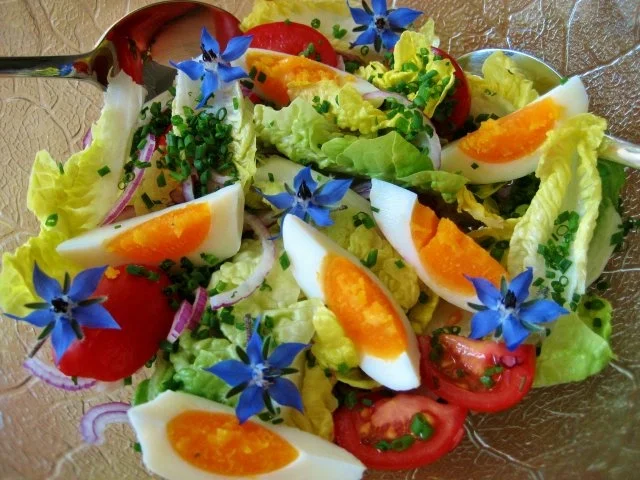 Rezept: Kräuterblüten-Salat Bild Nr. 3 Kräuterblüten-Salat - Rezept - Bild Nr. 3