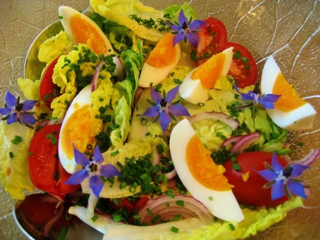 Rezept: Kräuterblüten-Salat Bild Nr. 4 Kräuterblüten-Salat - Rezept - Bild Nr. 4