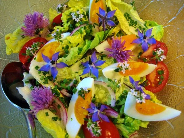 Rezept: Kräuterblüten-Salat Bild Nr. 6 Kräuterblüten-Salat - Rezept - Bild Nr. 6