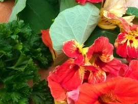 Kräuterbutter  " Hawaii Summer Flowers " - Rezept - Bild Nr. 5