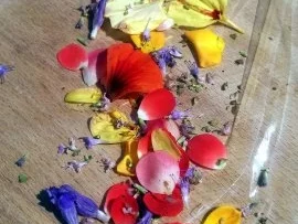 Kräuterbutter  " Hawaii Summer Flowers " - Rezept - Bild Nr. 3