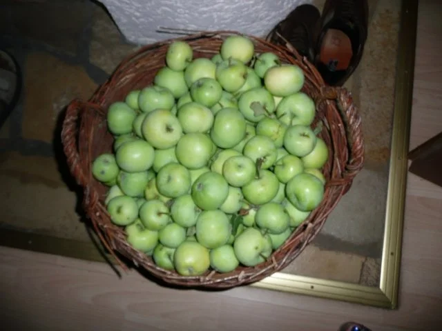 Rezept: Apfelmus aus Jakobsäpfeln 7 Gläser Apfelmus aus Jakobsäpfeln 7 Gläser - Rezept