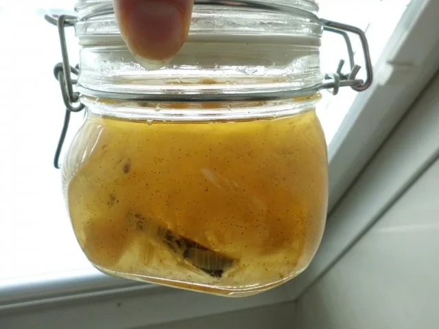 Liköre: Rhabarberlikör mit Vanille - Rezept - Bild Nr. 5