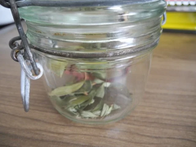 Rezept: Vegan : Gemüse in Streifen mit Käse überbacken Bild Nr. 4 Vegan : Gemüse in Streifen mit Käse überbacken - Rezept - Bild Nr. 4