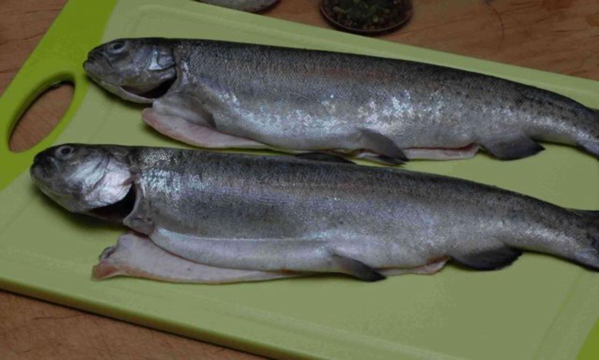 Fisch : Gebackene Forellen auf Sauce Hollandaise mi Dill - Rezept