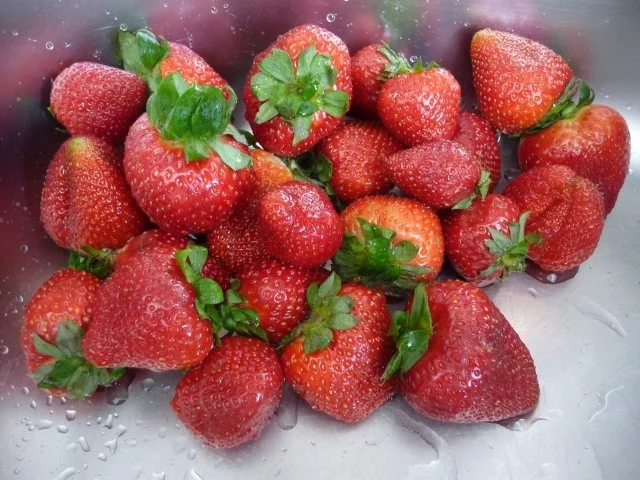 Jubiläumsrezept - 1000 Rezepte in meinem Kochbuch ;-) - Rezept - Bild Nr. 2