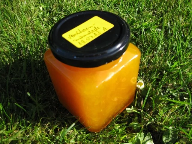 Aprikosen-Marmelade - Rezept