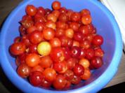 Rote Mirabellen - Gelee - Rezept