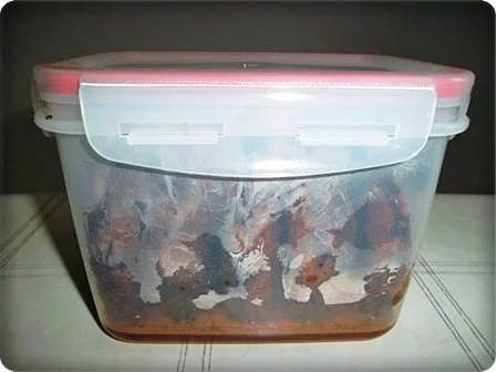 Selbstgemachte Pommes mit Gemüse und Mett-Frikadelle. - Rezept - Bild Nr. 4