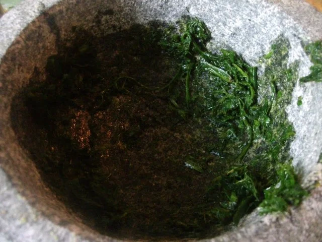 Rezept: Kräuterbutter und andere leckere Grillereien Bild Nr. 15 Kräuterbutter und andere leckere Grillereien - Rezept - Bild Nr. 15