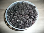 Brombeer - Gelee - Rezept