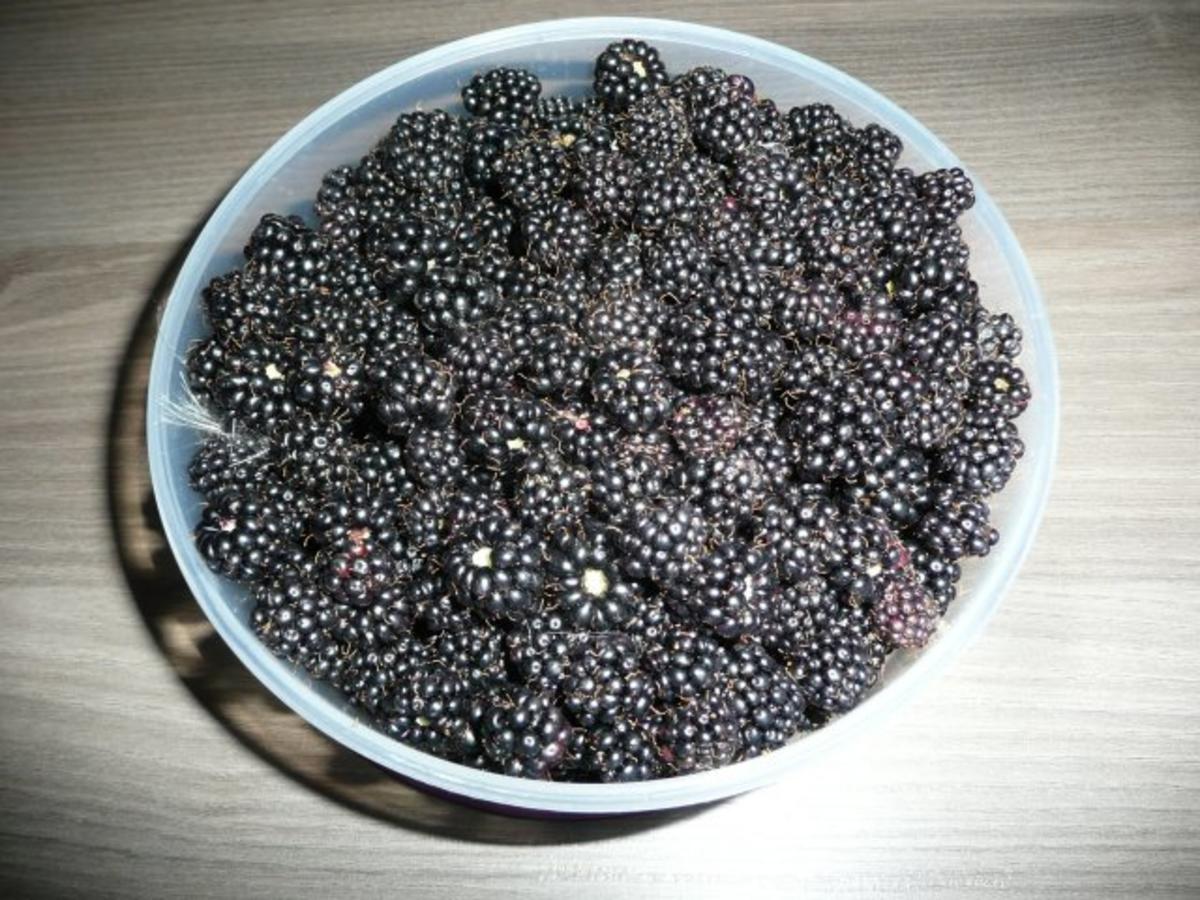 Bilder für Brombeer - Gelee - Rezept