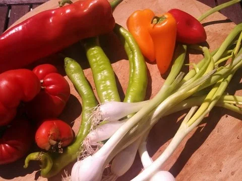 Albondigas (mexikanische Hackbällchen) mit grünem Reis - Rezept - Bild Nr. 4