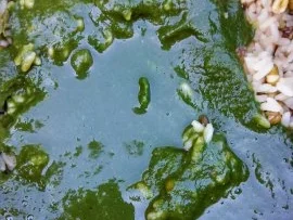 Albondigas (mexikanische Hackbällchen) mit grünem Reis - Rezept - Bild Nr. 11