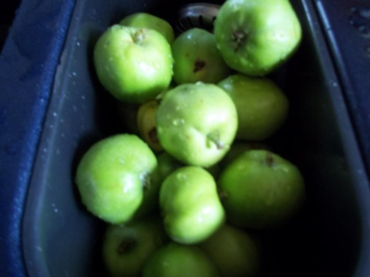 Apfel-Stachelbeer- Johannisbeer-Saft - Rezept - Bild Nr. 2