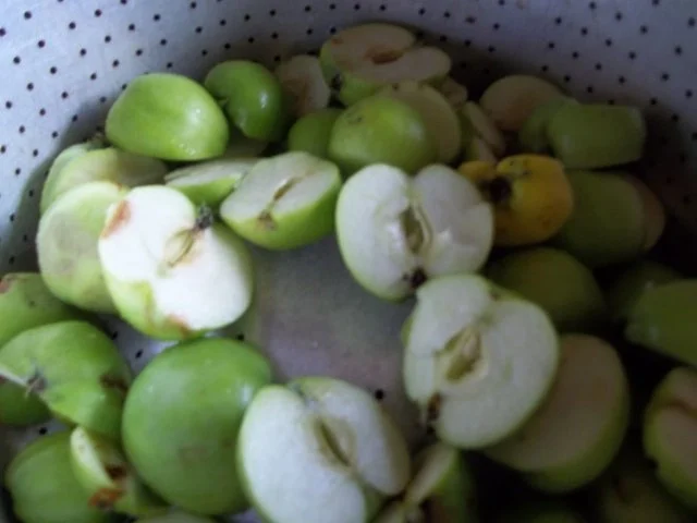 Apfel-Stachelbeer- Johannisbeer-Saft - Rezept - Bild Nr. 3