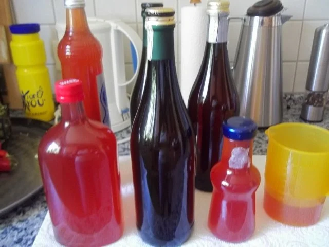 Apfel-Stachelbeer- Johannisbeer-Saft - Rezept