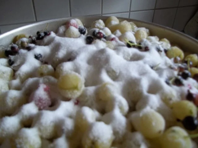 Apfel-Stachelbeer- Johannisbeer-Saft - Rezept - Bild Nr. 5