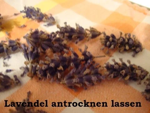 Aromatisierte Zuckersorten - Rezept - Bild Nr. 3
