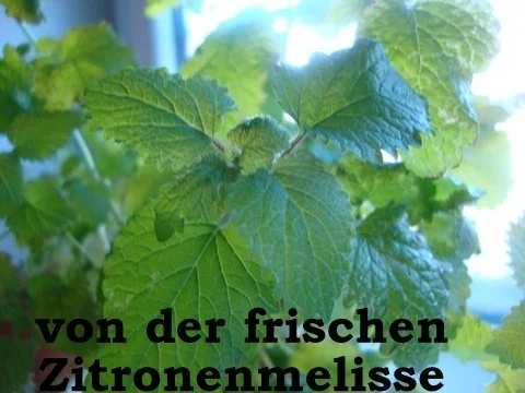 Aromatisierte Zuckersorten - Rezept - Bild Nr. 8