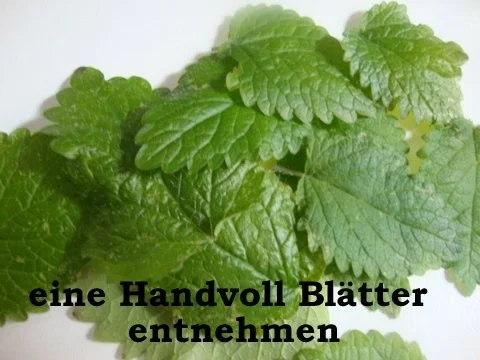 Aromatisierte Zuckersorten - Rezept - Bild Nr. 9