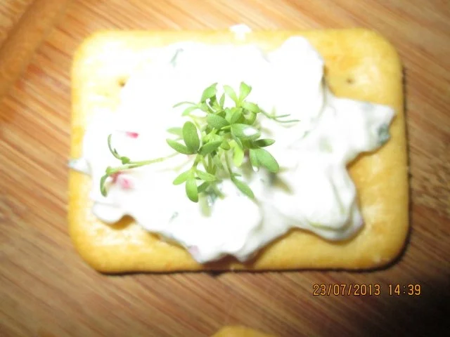 Sommerlicher Frischkäse - Rezept - Bild Nr. 2