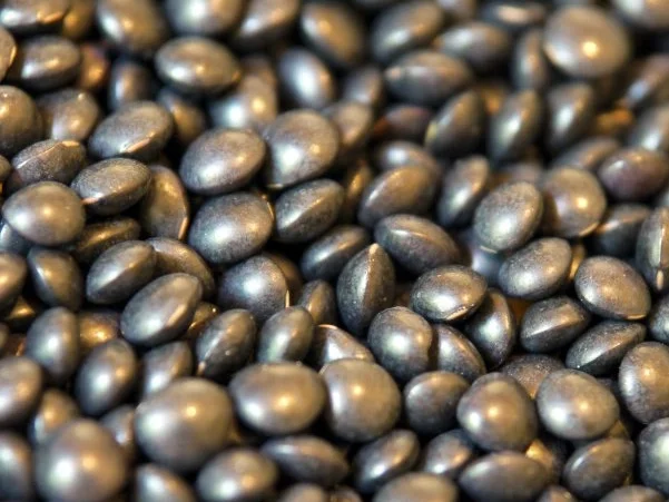 Bachsaibling an fruchtigem Linsensalat - Rezept - Bild Nr. 2